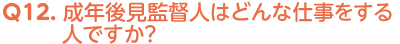 Q12. 成年後見監督人はどんな仕事をする人ですか？