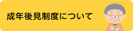 成年後見制度について